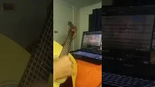 ខ្សឹបៗក៏ឈឺ Cover By PhallaTREE