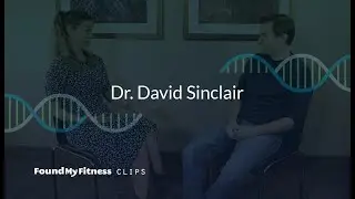How NAD+ drives the circadian clock and regulates sirtuins | David Sinclair