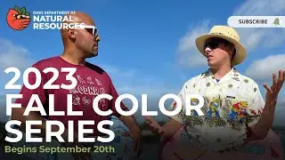 2023 Ohio Fall Color Series