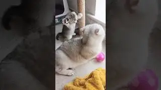 Mom, I just want to kiss you 😊😚 