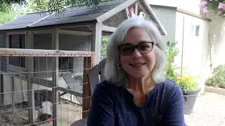 Homestead Tour | Small Space Gardening | Backyard Chickens
