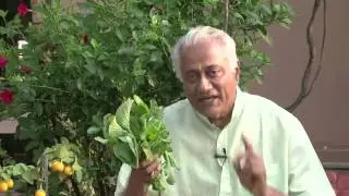Vishwapriya Urban Permaculture Film