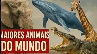 MAIORES ANIMAIS DO MUNDO
