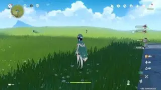 Genshin Impact (Idk what we were doing but we found this funny)