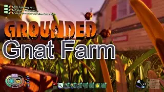 Gnat Farm Grounded! How  to get Gnat Fuzz