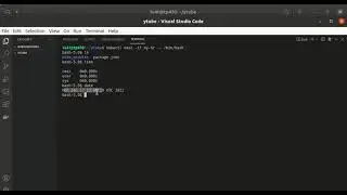 Execute command and declaring env variables on a nodered pod.