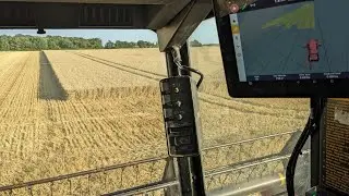 La dernière parcelle de blé