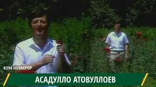 Асадулло Атовуллоев Ин шодии рухи ту / Asadullo Atovulloev In shodii ruhi tu / أسادولو أتوفولييف