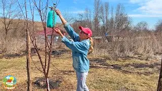 Нас два года уговаривали купить это