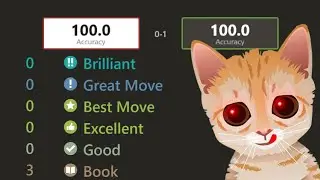 100% Accuracy Against Mittens