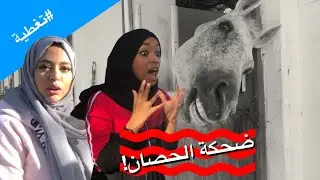 يوم مرعب مع الخيول | حنان فصلت على حصان