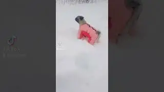 30 января 2022 г.