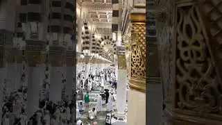 МошоАллох 🤲🏽🫀