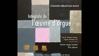 Intégrale Bach vol. 8 par Marie-Ange Leurent et Eric Lebrun, orgue de Belvès.