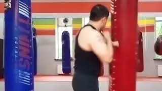 Работа по груше ( Турал )