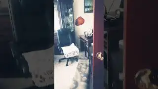 Квартира моего дедушки