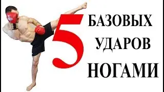 Удары ногами, базовые, основные.
