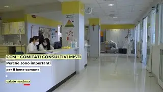 Salute Modena: I comitati consultivi misti (CCM)