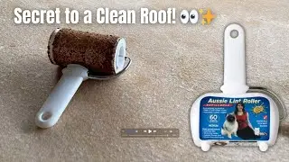 Cleaning the Car Headliner with a Lint Roller (Simple & Effective!)