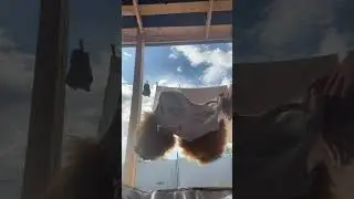 Маскаrrrrrrrr