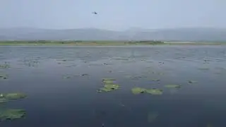 Зама