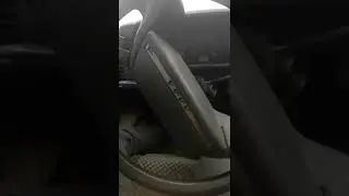 Святой шеснарь