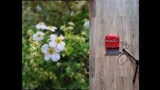 Botanic Party (PO 170 Modular, OP-Z)