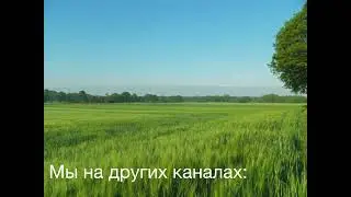 Наши контакты. Не теряйтесь ♥️