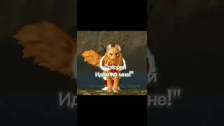Маленький, глупый котёнок.. 