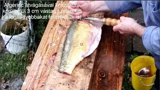 HAL ELKÁBÍTÁS, PUCOLÁS, DARABOLÁS /TÜKÖRPONTY/