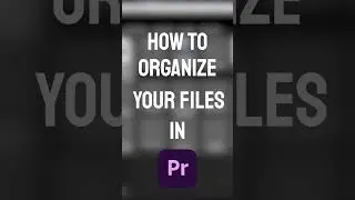 How to organize files in Premiere Pro ?