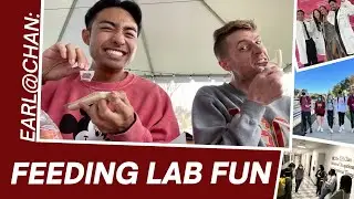 EARL AT CHAN: Feeding Lab Fun