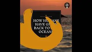 How We Save The Ocean? #shorts