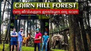 CAIRN HILL RESERVE FOREST | MUST VISIT PLACES IN OOTY | TEAM AMIGOZ