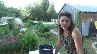 Самое лучшее универсальное удобрение для овощей