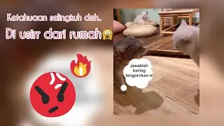 Ketahuan Selingkuh, dan akhirnya ?..