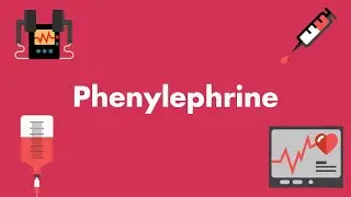 Phenylephrine - Vasopressors & Inotropes