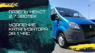 Газель 2.7 Эвотек: удаление катализатора за 1 час, увеличение мощности +10 %