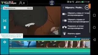 белый кот