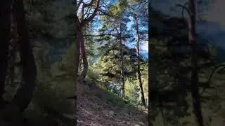 Ужасно красивая Цунта.Отдых в горах Цунтинский район.