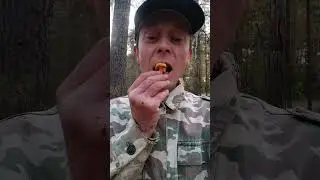 находочка🍄