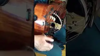 Sword Dance #shorts #hurdygurdy