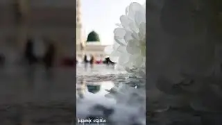 New Milad Status || Aaqa Ka milaad Aaya 😍 || Owais Raza Qadri