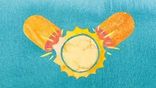 D Vitaminin Bütün Orqanlara və Toxumalara Təsiri