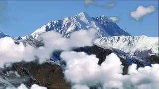 🐺 Лучший сборник Чеченских песен 🐺
