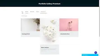 Portfolio Filter Gallery Wordpress Plugin