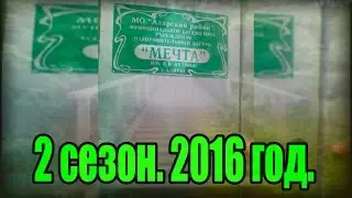 Аляты. Лагерь Мечта. 2 Сезон. 2016 год.