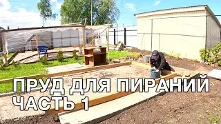 СТРОЮ ПРУД ДЛЯ ПИРАНЬИ - ЧАСТЬ 1