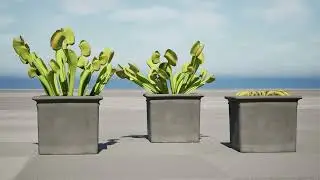 Venus Fly Trap 3D animation with unreal