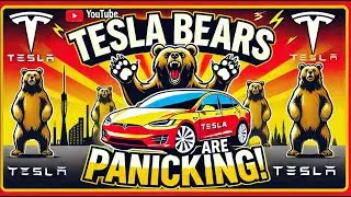 Tesla Bears Are Panicking! | Analyzing the Latest Market Trends
